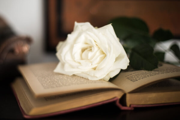 Les cinq etapes du deuil