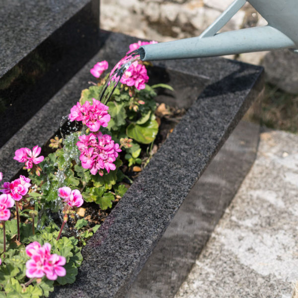 arrosage fleurs de cimetière