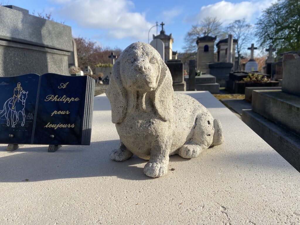 chien sépulture philippe noiret