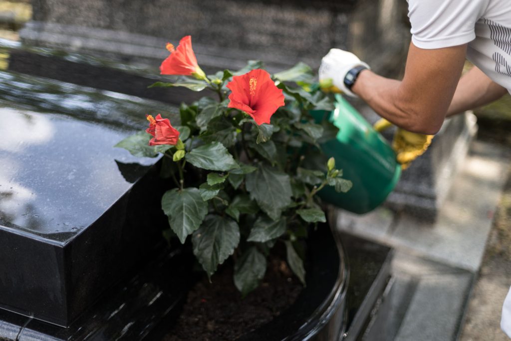 Canicule : Comment protéger et arroser les fleurs de cimetière à distance ?